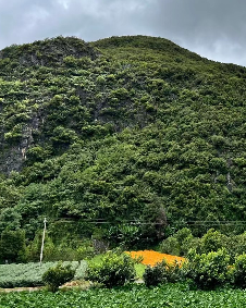 孤山幽幽